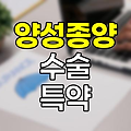 현대해상 6대기관 양성종양 수술 특약의 핵심 포인트