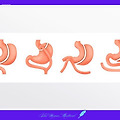 article_rep_thumbnail_raw_url
