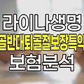 라이나생명 골반대퇴골절보장특약 핵심 분석
