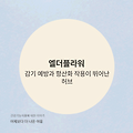엘더플라워(Elderflower)의 효능! 감기 예방과 항산화 작용에 정말 좋을까?