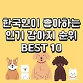 한국인이 좋아하는 강아지 BEST 10/인기 강아지 순위 TOP 10