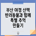 부산 반려동물과 함께 즐기는 야경 산책로: 도시의 빛과 함께 펼쳐지는 특별한 추억