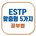 ESTP 공부법 ｜행동력과 몰입으로 성적 끌어올리는 실전 전략