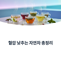 혈압 낮추는 차 총정리｜고혈압 관리에 효과적인 자연차 모음