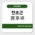 천초근(茜草根)