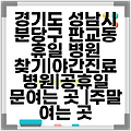 경기도 성남시 분당구 판교동 휴일 병원 찾기|야간진료 병원|공휴일 문여는 곳 |주말 여는 곳