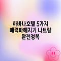 나트랑 하바나 호텔: 5가지 매력!