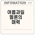 여름의 과일 멜론의 놀라운 효능과 활용법