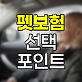 펫보험 선택 핵심 포인트, 반려동물 맞춤 보장