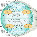 해들리 순환