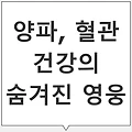 양파즙의 효능 – 혈관 건강과 콜레스테롤 감소 효과: 놀라운 비밀