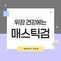 매스틱검 효능·복용법·부작용·추천 제품 총정리
