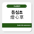 등심초(燈心草)