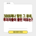 3000채나 팔린 그 동네, 투자자들이 몰린 이유는?