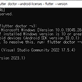 Flutter Doctor Error) Windows Version (Unable to confirm if installed Windows version is 10 or greater)