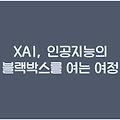 XAI, 인공지능의 블랙박스를 여는 여정