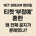 NCT DREAM 팬미팅 티켓 ‘부정예매’ 혼란, 왜 전체 공지가 문제였나?