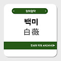 백미(白薇)
