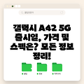 갤럭시 A42 5G 출시일, 가격 및 스펙은? 모든 정보 정리!