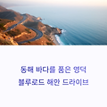 동해 바다를 품은 영덕 블루로드 해안 드라이브