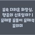 꿈속 더러운 화장실, 행운의 신호일까? | 꿈해몽 꿈풀이 꿈해석 꿈의미