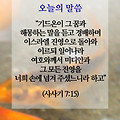 성경묵상 - 2024년 6월 4일 (화)