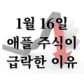 1월 16일 애플 주식이 급락한 이유