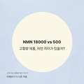 🧬NMN 18000 vs NMN 500 – 고함량 제품, 어떤 차이가 있을까?