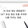 🚨 내 유심 정보 괜찮을까? SKT 유심 정보 유출 우려와 나를 지키는 방법 🚨
