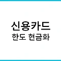 신용카드 한도 현금화: 위험성과 주의사항