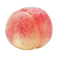Elasticsearch RESTful API (GET,PUT,POST,DELET)