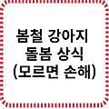 봄철 강아지 돌봄 상식