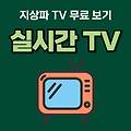 실시간 TV보기 무료  |  지상파 KBS MBC SBS EBS