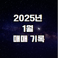 2025년 1월 매매 기록
