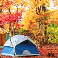 계절별 캠핑 시리즈 3편 ,바람 따라 단풍 속으로, 가을 캠핑 이야기 🍁