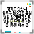 경기도 안산시 상록구 본오3동 휴일 병원 찾기|야간진료 병원|공휴일 문여는 곳 |주말 여는 곳