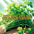신선한 미나리 고르는 방법 줄기 색상과 향기 확인하기