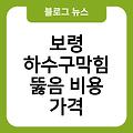 보령 하수구막힘 뚫음 수리잘하는곳 욕실하수구냄새제거 추천업체 씽크대화장실변기세면대막힘 비용가격