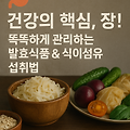 건강의 핵심, 장! 똑똑하게 관리하는 발효식품 & 식이섬유 섭취법