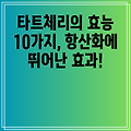 타트체리의 효능 10가지, 항산화에 뛰어난 효과!