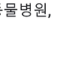 동물병원 어플 추천 TOP 6 (반려견 필수 앱)