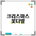 크리스마스 꽃다발