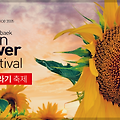 태백 해바라기축제 : 해바라기 동화 속으로 초대하는 태백 구와우 마을