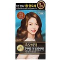 리엔 흑모 비책 한방 크림 염색제