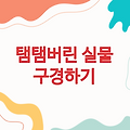 탬탬버린 실물 구경하기 - 이색 악기의 매력 발견