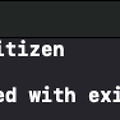 [Swift] 일급 객체(First-class citizen)