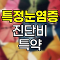 흥국화재 특정눈염증 진단비 특약, 눈 건강 보장의 새로운 지평