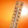 "대전·세종·충남 폭염주의보 속 소나기 주의보 그리고 서울 - 오늘과 내일 날씨 정보"