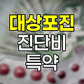 대상포진 진단비 특약의 핵심 내용과 보장범위