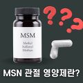 MSN 관절 영양제 성분과 효능은 무엇일까? (가격과 추천 제품)